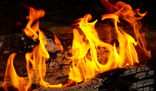 Brians Firewood of Washington DC